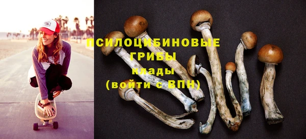 MESCALINE Арсеньев